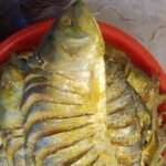 nona ilish shutki